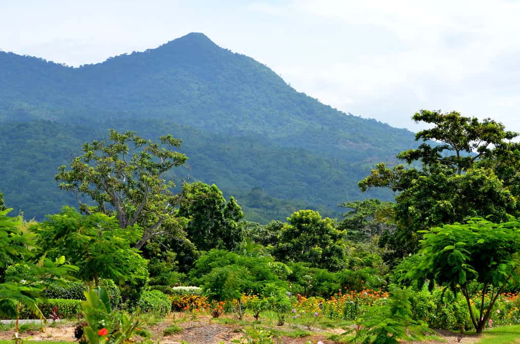 Stay here on earth with me